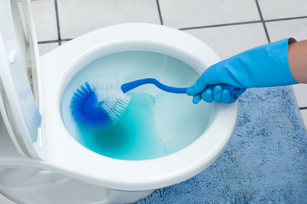 How Citric Acid Can Clean Your Toilet Splashh Powder